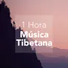 1 Hora de Música Tibetana - Sonidos para Relajarse album lyrics, reviews, download