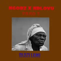 Dlozi Lami (feat. YAKO T & N.Dlovu) - Single by Ngobz album reviews, ratings, credits