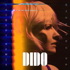 Give You Up (Laibert Remix) - Single by Dido album reviews, ratings, credits
