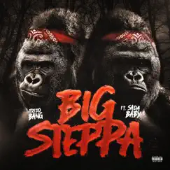 Big Steppa (feat. Sada Baby) - Single by Fredo Bang album reviews, ratings, credits
