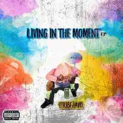 Living in the Moment - EP by 4TRIBEJAVO album reviews, ratings, credits