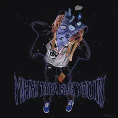 What Typa Bag You In by YOPPA BAM album reviews, ratings, credits