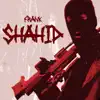 Shahid - Single album lyrics, reviews, download