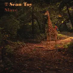 Slave - Single by Sean Toy album reviews, ratings, credits