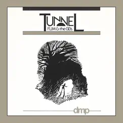 Tunnel by Flim & The BB's album reviews, ratings, credits