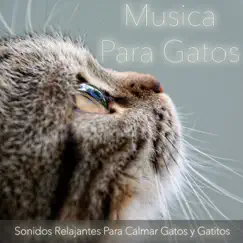 Música para Gatos: Sonidos Relajantes para Calmar Gatos y Gatitos by RelaxMyCat, Relax My Kitten & Cat Music Dreams album reviews, ratings, credits