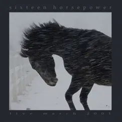 Coal Black Horse (Live) Song Lyrics