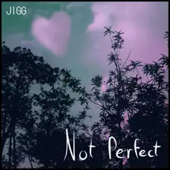 Not Perfect - Single by Jigg album reviews, ratings, credits