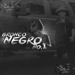 Bronco Negro, No. 1 - Single by Del Norte album reviews, ratings, credits