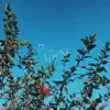 Patience - Single album lyrics, reviews, download