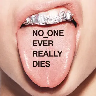 NO ONE EVER REALLY DIES by N.E.R.D album download