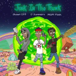 Junk In the Trunk (feat. MGM Flash & Shawn Eff) - Single by D Summers album reviews, ratings, credits