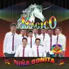 Niña Bonita album lyrics, reviews, download