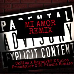 Mi Amor (Remix) [feat. DayanVDP, Unico Freestyler & El Pinche Homies] - Single by CkRloz album reviews, ratings, credits