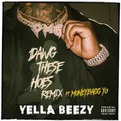 Dawg These Hoes (Remix) [feat. Moneybagg Yo] - Single by Yella Beezy album reviews, ratings, credits