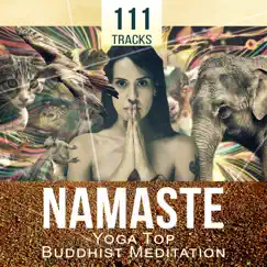 Namaste (Morning Birds for Meditation) Song Lyrics