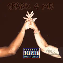 Spark 4 Me (feat. Checc) - Single by Jay Pe$o album reviews, ratings, credits