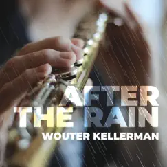 After the Rain (Producers Edition) - Single by Wouter Kellerman album reviews, ratings, credits