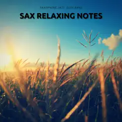Sax Relaxing Notes Song Lyrics