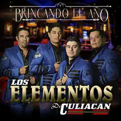 Brincando el Año by Los Elementos de Culiacán album reviews, ratings, credits