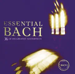 Orchestral Suite No. 3 in D Major, BWV 1068: II. Air Song Lyrics
