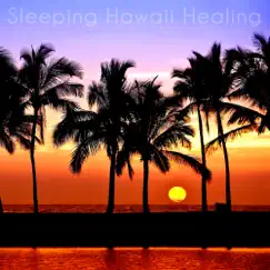 Holiday in Hawaii to Sleep Song Lyrics