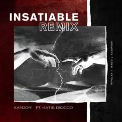 Insatiable (feat. Katie DiCicco) [Seadrvnk Remix] Song Lyrics