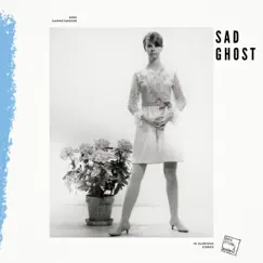 Sad Ghost Song Lyrics