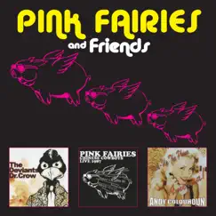 Pink Fairies and Friends by The Pink Fairies, The Deviants & Andy Colquhoun album reviews, ratings, credits
