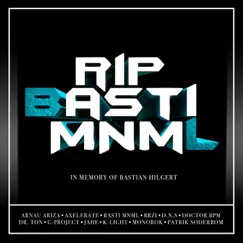 In Memory of Bastian Hilgert by Various Artists album reviews, ratings, credits