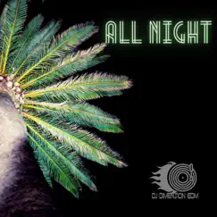 All Night by Dj Dimension EDM album reviews, ratings, credits