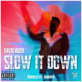 Slow It Down - Single by David Rush album download