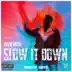 Slow It Down - Single album cover