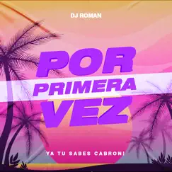 Por Primera Vez (Remix) - Single by DJ Roman album reviews, ratings, credits