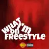 What Im on Freestyle - Single album lyrics, reviews, download