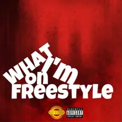 What Im on Freestyle - Single by Dinero Doug album reviews, ratings, credits