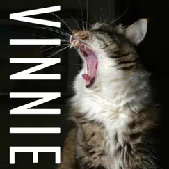 Vinnie (feat. Ash Tu-kay) Song Lyrics