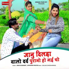 Janu Dilada Valo Dard Purano Ho Gai Yo - Single by Shilpa Bidawat & Devendra Raipur album reviews, ratings, credits