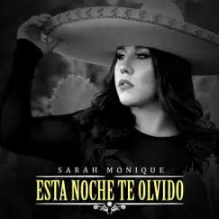 Brindo Contigo (feat. Shelly Lares) Song Lyrics