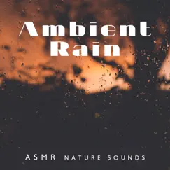 Ambient Rain: ASMR Nature Sounds by Relaxing Nature Sounds Collection & Relaxation Meditation Songs Divine album reviews, ratings, credits