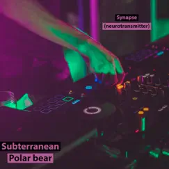 Synapse (Neurotransmitter) - Single by Subterranean Polar Bear album reviews, ratings, credits