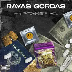 Rayas Gordas Song Lyrics