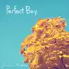 Perfect Boy - Single album lyrics, reviews, download