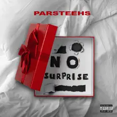 No Surprise - Single by Parsteehs album reviews, ratings, credits