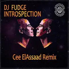 Introspection (Cee ElAssaad Remix) - Single by DJ Fudge album reviews, ratings, credits
