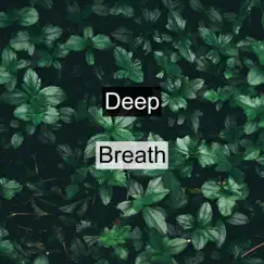 Deep Breath by Life Sounds Nature album reviews, ratings, credits
