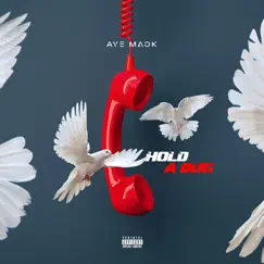 Hold a Bug - Single by Aye Mack album reviews, ratings, credits