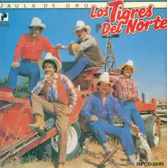 Jaula De Oro by Los Tigres del Norte album reviews, ratings, credits