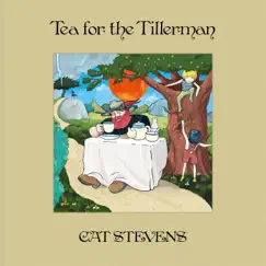 Tea For The Tillerman (Super Deluxe Edition) [2020 Remix & Remaster] by Cat Stevens album reviews, ratings, credits