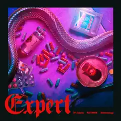 Expert (feat. Jinmenusagi) - Single by NF Zessho & RAITAMEN album reviews, ratings, credits